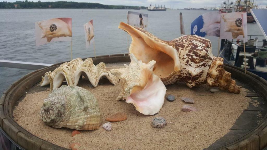 Kastonu Apartamentai Klaipėda Kültér fotó